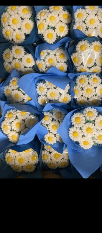 Монобукет 7 ромашек из шоколада